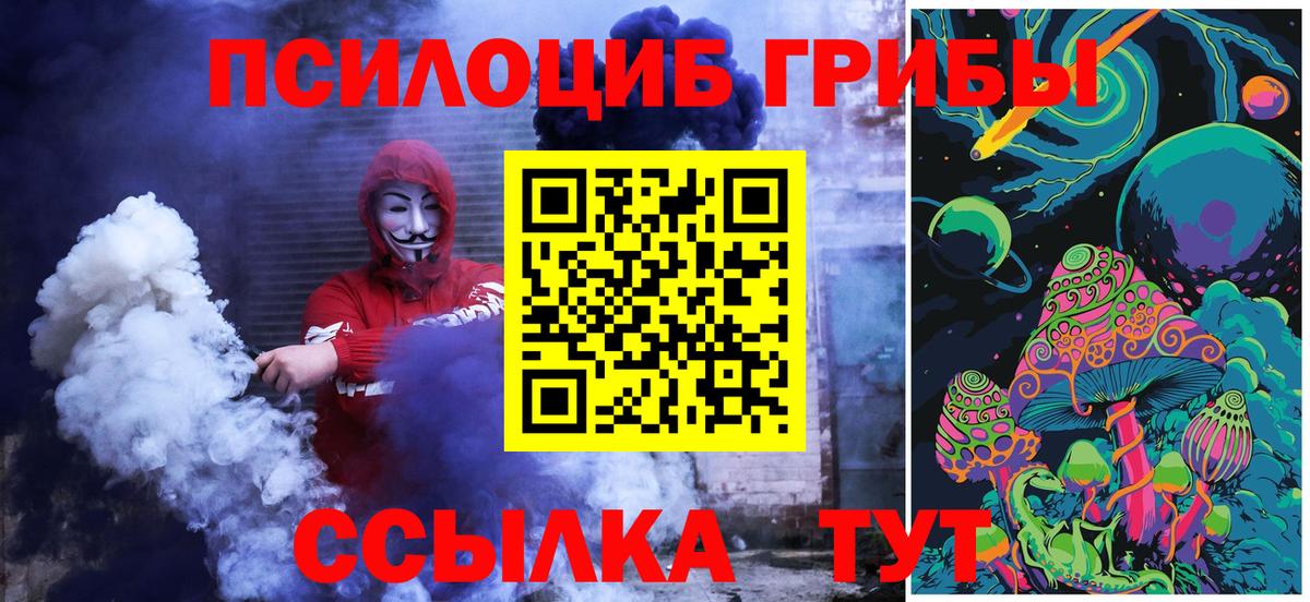 Псилоцибиновые грибы мицелий Борзя